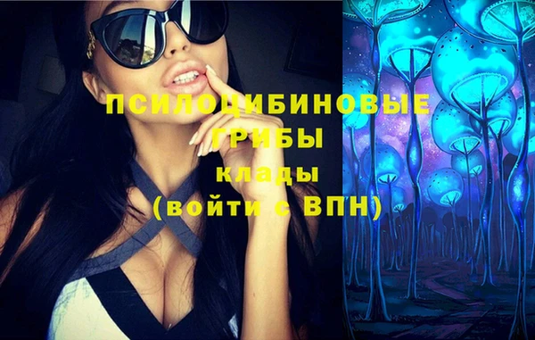 тгк Михайловск