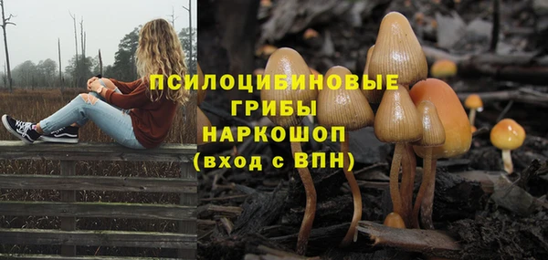 мдпв Магадан