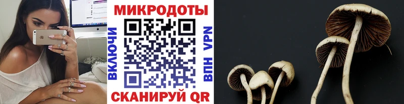 Галлюциногенные грибы ЛСД Железногорск-Илимский